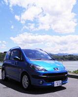 各種自動車販売